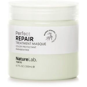 Perfect Repair Treatment Masque NWT